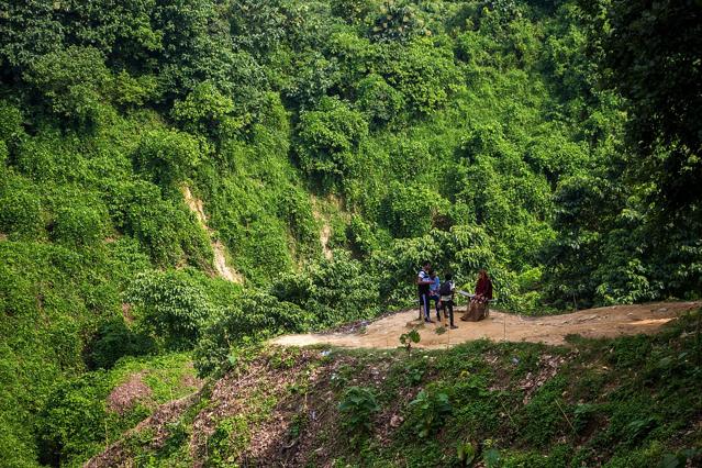 Himchari National Park